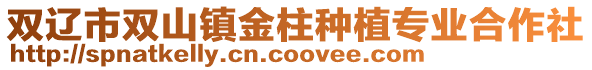 雙遼市雙山鎮(zhèn)金柱種植專業(yè)合作社