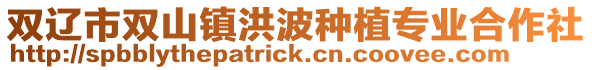雙遼市雙山鎮(zhèn)洪波種植專業(yè)合作社