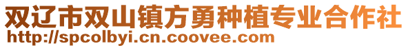 雙遼市雙山鎮(zhèn)方勇種植專業(yè)合作社