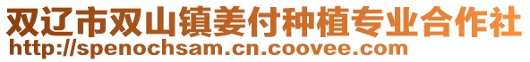 雙遼市雙山鎮姜付種植專業合作社