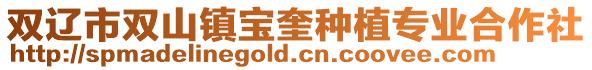 雙遼市雙山鎮(zhèn)寶奎種植專業(yè)合作社