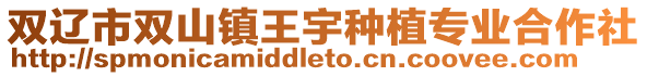 雙遼市雙山鎮(zhèn)王宇種植專業(yè)合作社