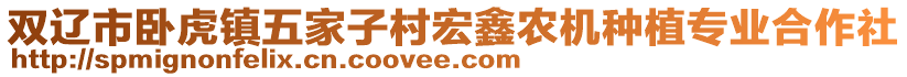 雙遼市臥虎鎮(zhèn)五家子村宏鑫農(nóng)機(jī)種植專業(yè)合作社