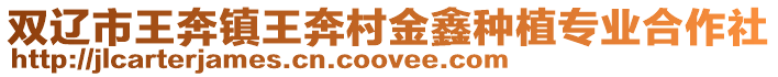 雙遼市王奔鎮(zhèn)王奔村金鑫種植專(zhuān)業(yè)合作社