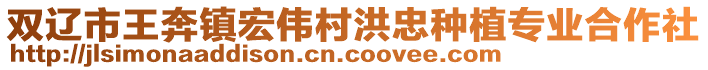 雙遼市王奔鎮(zhèn)宏偉村洪忠種植專業(yè)合作社
