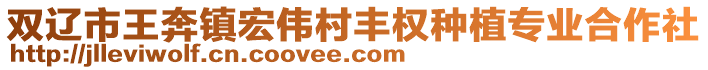 雙遼市王奔鎮(zhèn)宏偉村豐權(quán)種植專(zhuān)業(yè)合作社