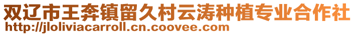 雙遼市王奔鎮留久村云濤種植專業合作社