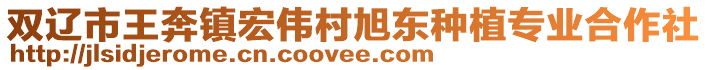 雙遼市王奔鎮宏偉村旭東種植專業合作社