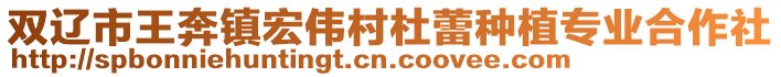 雙遼市王奔鎮宏偉村杜蕾種植專業合作社