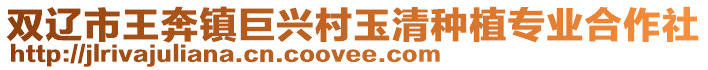 雙遼市王奔鎮巨興村玉清種植專業合作社