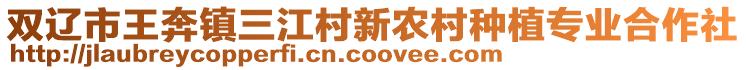 雙遼市王奔鎮三江村新農村種植專業合作社