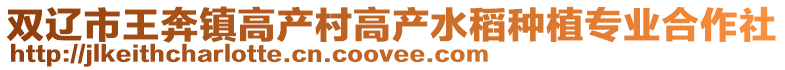雙遼市王奔鎮(zhèn)高產(chǎn)村高產(chǎn)水稻種植專業(yè)合作社