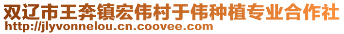 雙遼市王奔鎮(zhèn)宏偉村于偉種植專業(yè)合作社