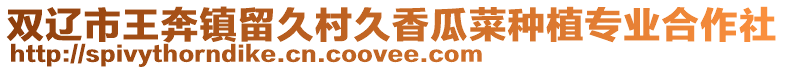 雙遼市王奔鎮留久村久香瓜菜種植專業合作社