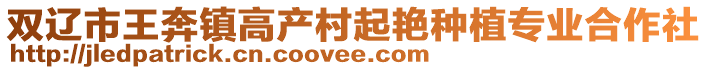 雙遼市王奔鎮高產村起艷種植專業合作社