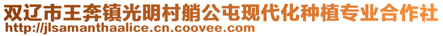 雙遼市王奔鎮光明村艄公屯現代化種植專業合作社