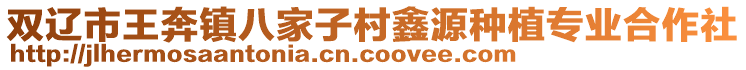 雙遼市王奔鎮八家子村鑫源種植專業合作社