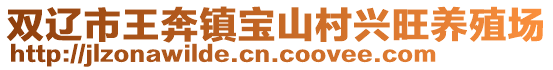 雙遼市王奔鎮寶山村興旺養殖場