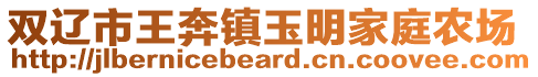 雙遼市王奔鎮玉明家庭農場