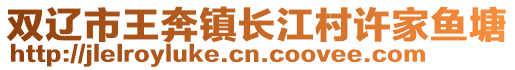 雙遼市王奔鎮(zhèn)長江村許家魚塘