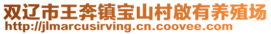 雙遼市王奔鎮(zhèn)寶山村啟有養(yǎng)殖場