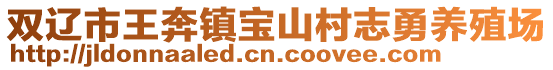 雙遼市王奔鎮寶山村志勇養殖場