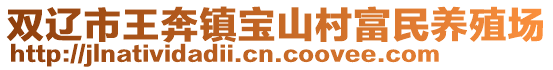 雙遼市王奔鎮寶山村富民養殖場