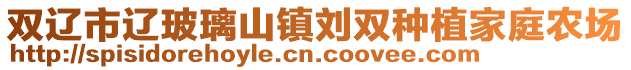 雙遼市遼玻璃山鎮劉雙種植家庭農場