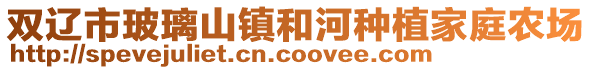 雙遼市玻璃山鎮(zhèn)和河種植家庭農(nóng)場