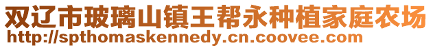 雙遼市玻璃山鎮王幫永種植家庭農場