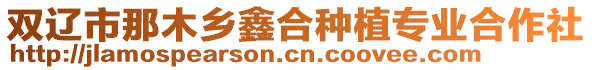 雙遼市那木鄉(xiāng)鑫合種植專業(yè)合作社