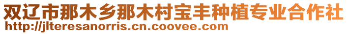 雙遼市那木鄉那木村寶豐種植專業合作社