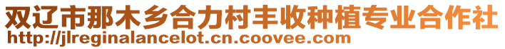 雙遼市那木鄉合力村豐收種植專業合作社