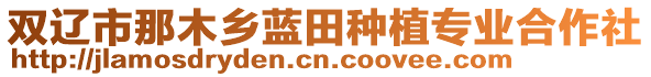 雙遼市那木鄉(xiāng)藍(lán)田種植專業(yè)合作社