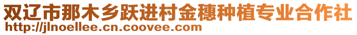 雙遼市那木鄉(xiāng)躍進(jìn)村金穗種植專業(yè)合作社