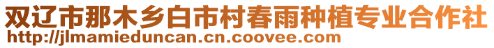 雙遼市那木鄉白市村春雨種植專業合作社