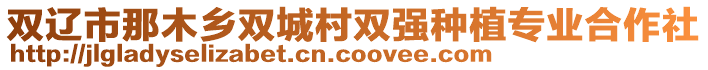 雙遼市那木鄉雙城村雙強種植專業合作社