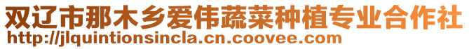 雙遼市那木鄉愛偉蔬菜種植專業合作社