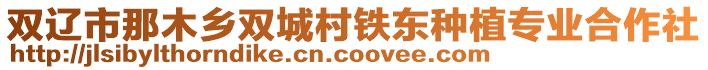 雙遼市那木鄉(xiāng)雙城村鐵東種植專業(yè)合作社