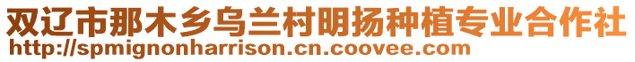 雙遼市那木鄉烏蘭村明揚種植專業合作社