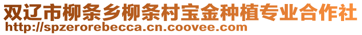 雙遼市柳條鄉(xiāng)柳條村寶金種植專業(yè)合作社