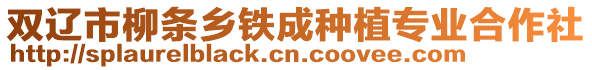 雙遼市柳條鄉鐵成種植專業合作社