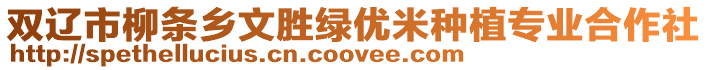 雙遼市柳條鄉(xiāng)文勝綠優(yōu)米種植專業(yè)合作社