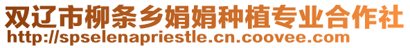 雙遼市柳條鄉娟娟種植專業合作社