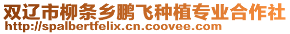 雙遼市柳條鄉(xiāng)鵬飛種植專業(yè)合作社