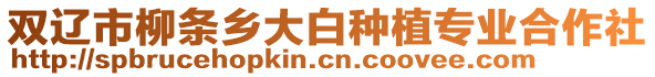 雙遼市柳條鄉大白種植專業合作社
