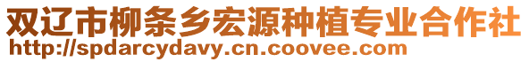 雙遼市柳條鄉宏源種植專業合作社