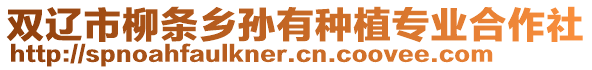 雙遼市柳條鄉孫有種植專業合作社