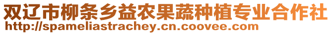 雙遼市柳條鄉益農果蔬種植專業合作社