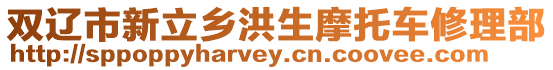 雙遼市新立鄉(xiāng)洪生摩托車修理部